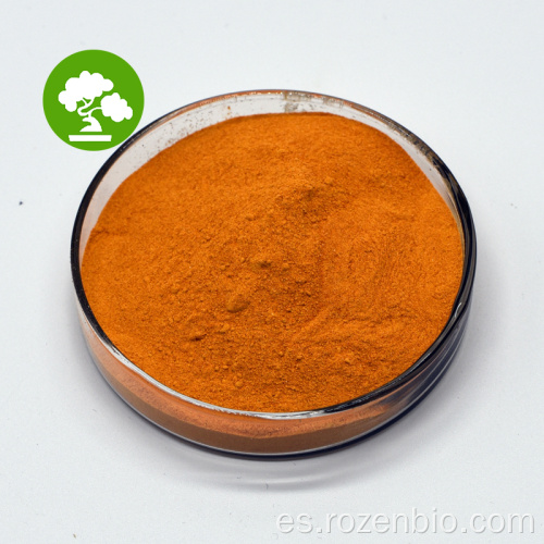 Polvo de coenzima soluble de agua de alta calidad Q10